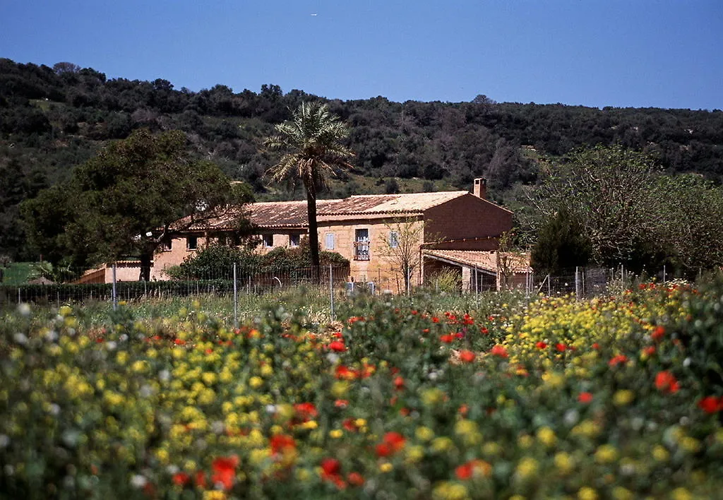 Gospodarstwo wiejskie Pensjonat Finca Es Mayolet Manacor